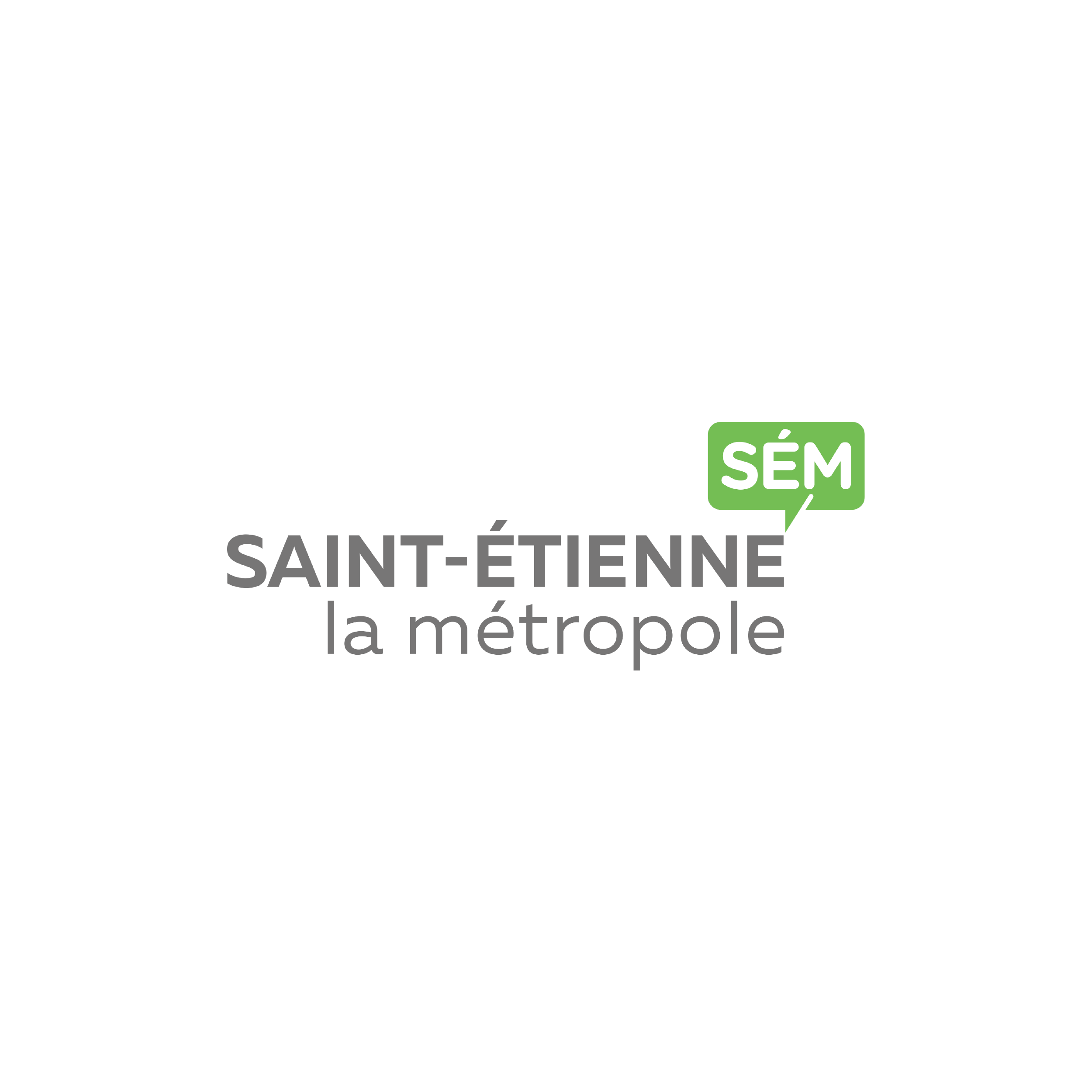 Logo Saint Etienne Harlor Plastic